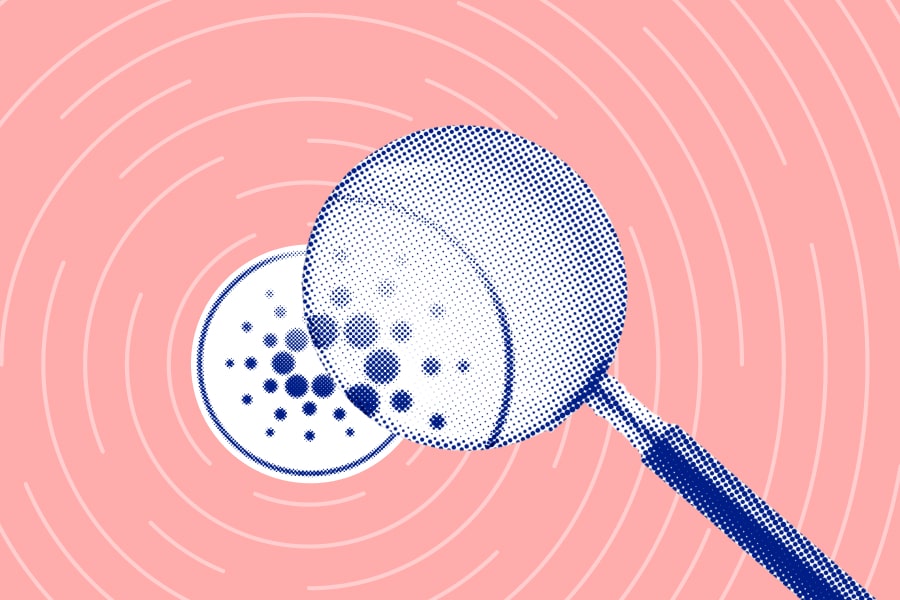 Dari mana Cardano berasal