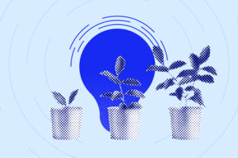 Three potted plants ranging from small to large sizes to indicate growth of wealth when using staking pools