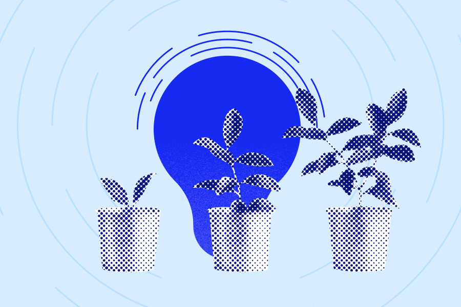 Three potted plants ranging from small to large sizes to indicate growth of wealth when using staking pools