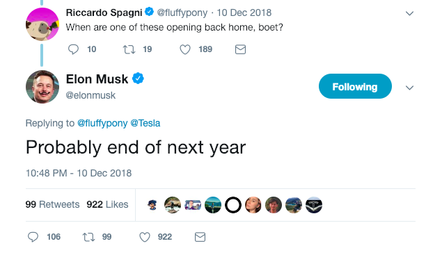 fluffy_pony_musk